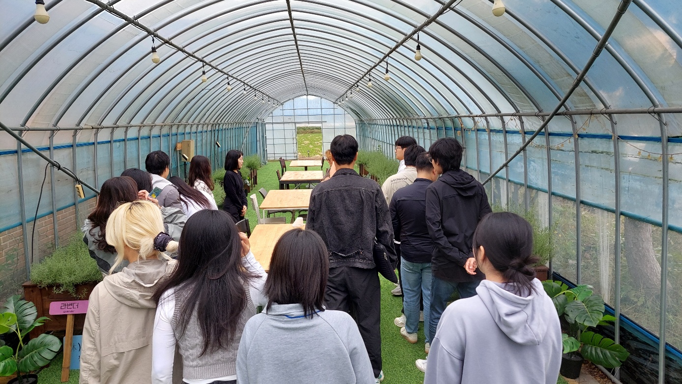 완료지구 활성화